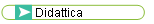 Didattica